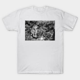 Grey Wolf T-Shirt